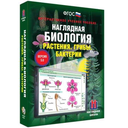 Наглядная биология. 6 класс. Растения. Грибы. Бактерии