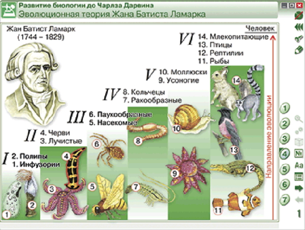 Наглядная биология. 10 - 11 классы. Эволюционное учение