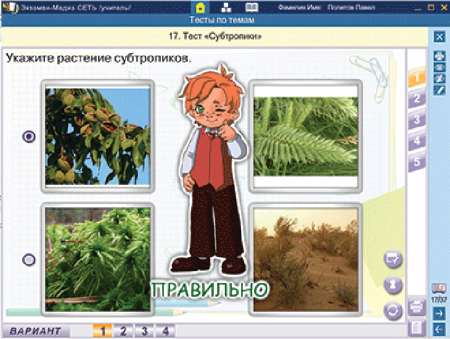 Сетевая версия. Тесты. Окружающий мир. 4 класс Сетевая версия. Тесты. Окружающий мир. 4 класс