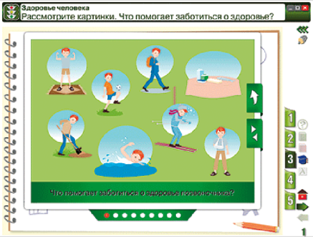 ОБЖ. Здоровье человека. Правила поведения дома, на улице, на дороге, в лесу. ОБЖ. Здоровье человека. Правила поведения дома, на улице, на дороге, в лесу.