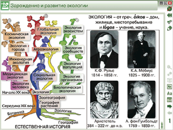 Наглядная биология. Введение в экологию