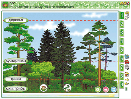 Окружающий мир 4 класс. Человек и природа. Человек и общество