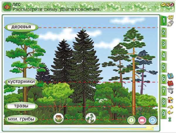 Окружающий мир 4 класс. Человек и природа. Человек и общество