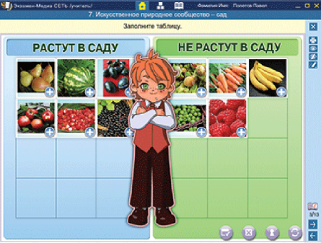 Сетевая версия. 4 класс. Математика, Русский язык, Окружающий мир, Литературное чтение