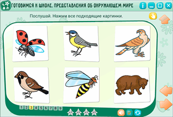 Готовимся к школе. Представления об окружающем мире