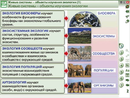 Наглядная биология. Введение в экологию