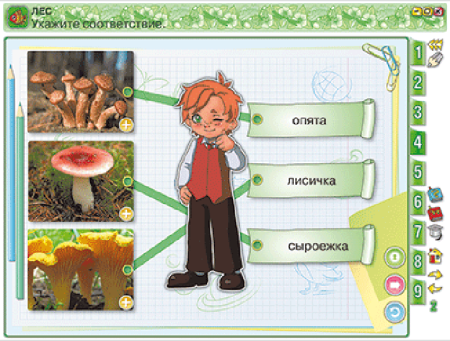 Окружающий мир 4 класс. Человек и природа. Человек и общество