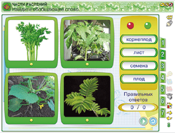 Окружающий мир 2 класс. Человек и природа