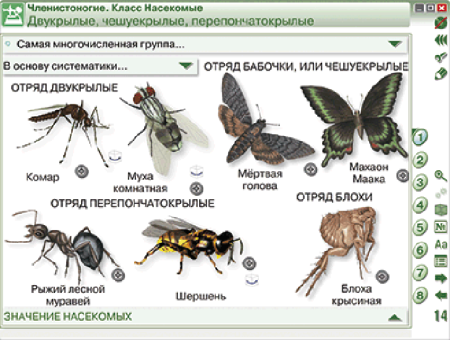 Наглядная биология. 7 класс. Животные Наглядная биология. 7 класс. Животные