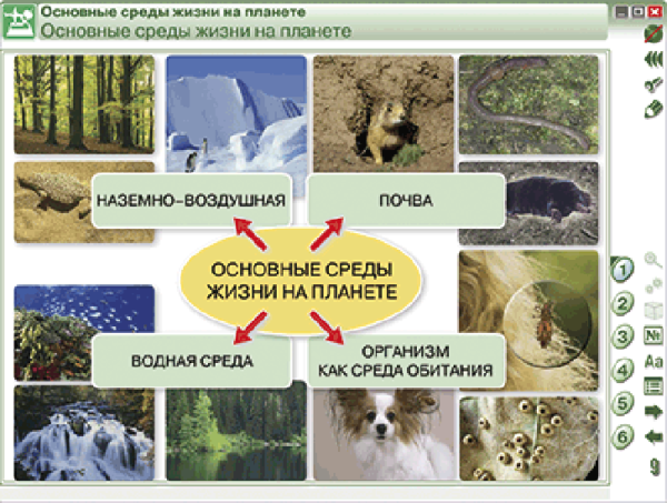 Наглядная биология. Введение в экологию